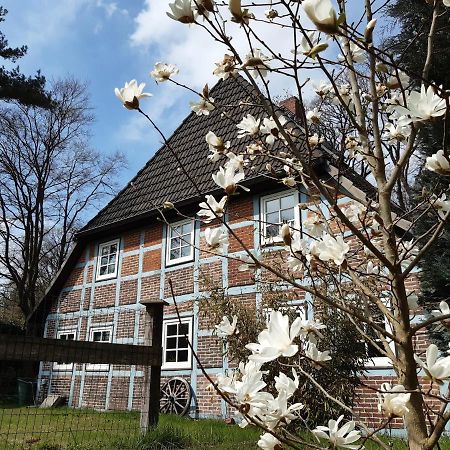 Schoenes Apartment Vor Den Toren Hamburgs - Keine Monteurwohnung Asendorf Exterior foto